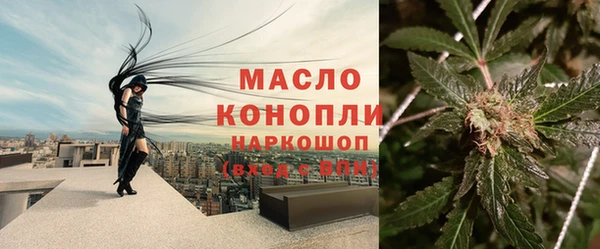 мяу мяу мука Арсеньев